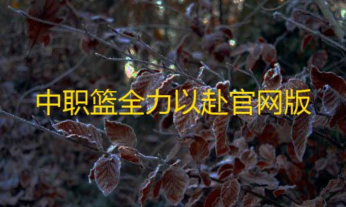 路飞攻击距离外挂中职篮全力以赴官网版